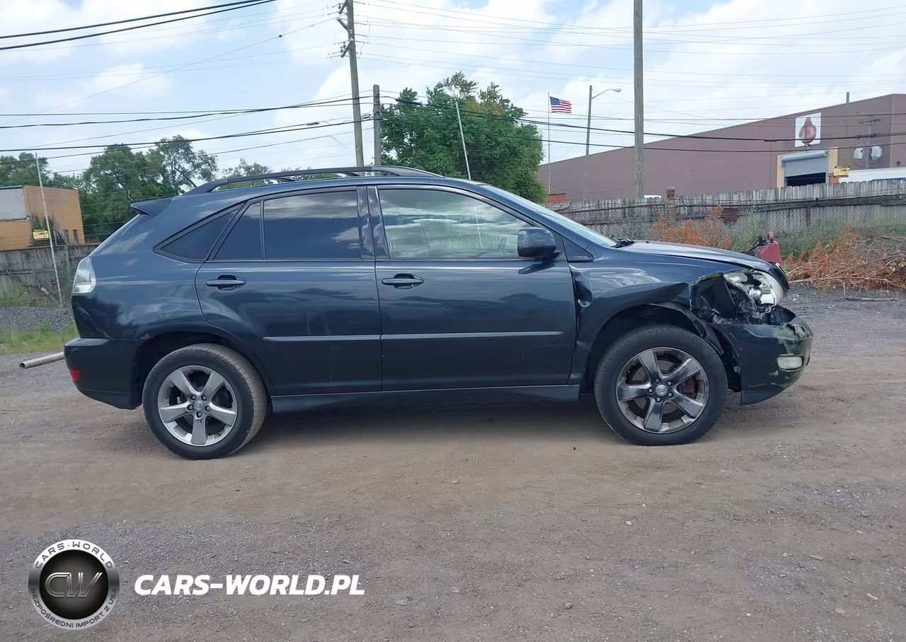 2004 Lexus Rx 330 VIN:JTJHA31U440061390 - 13