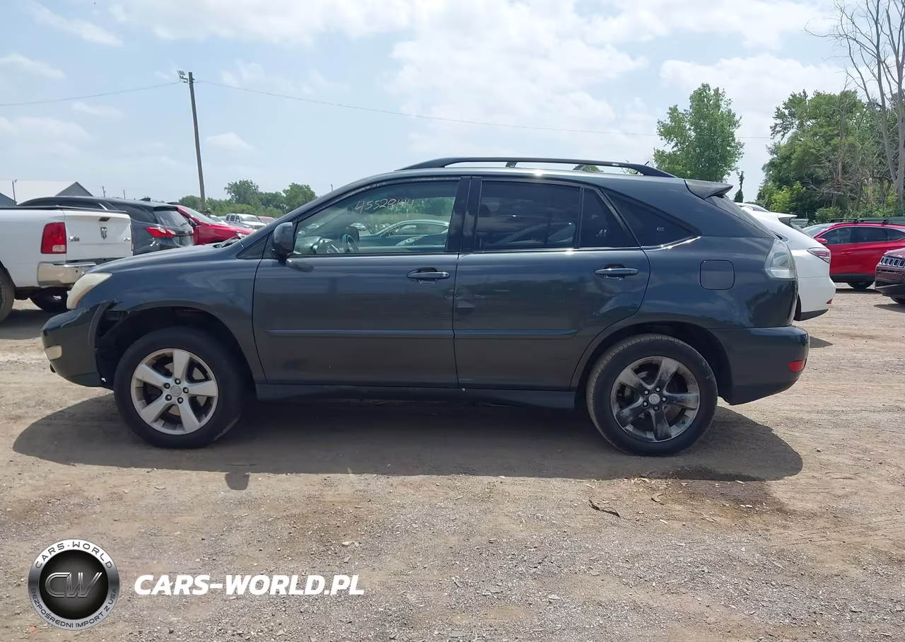 2004 Lexus Rx 330 VIN:JTJHA31U440061390 - 14