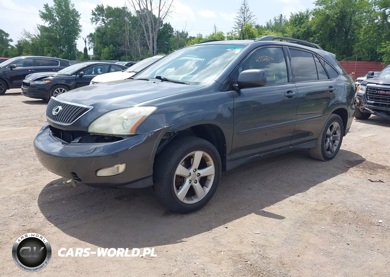 2004 Lexus Rx 330 VIN:JTJHA31U440061390 - 2