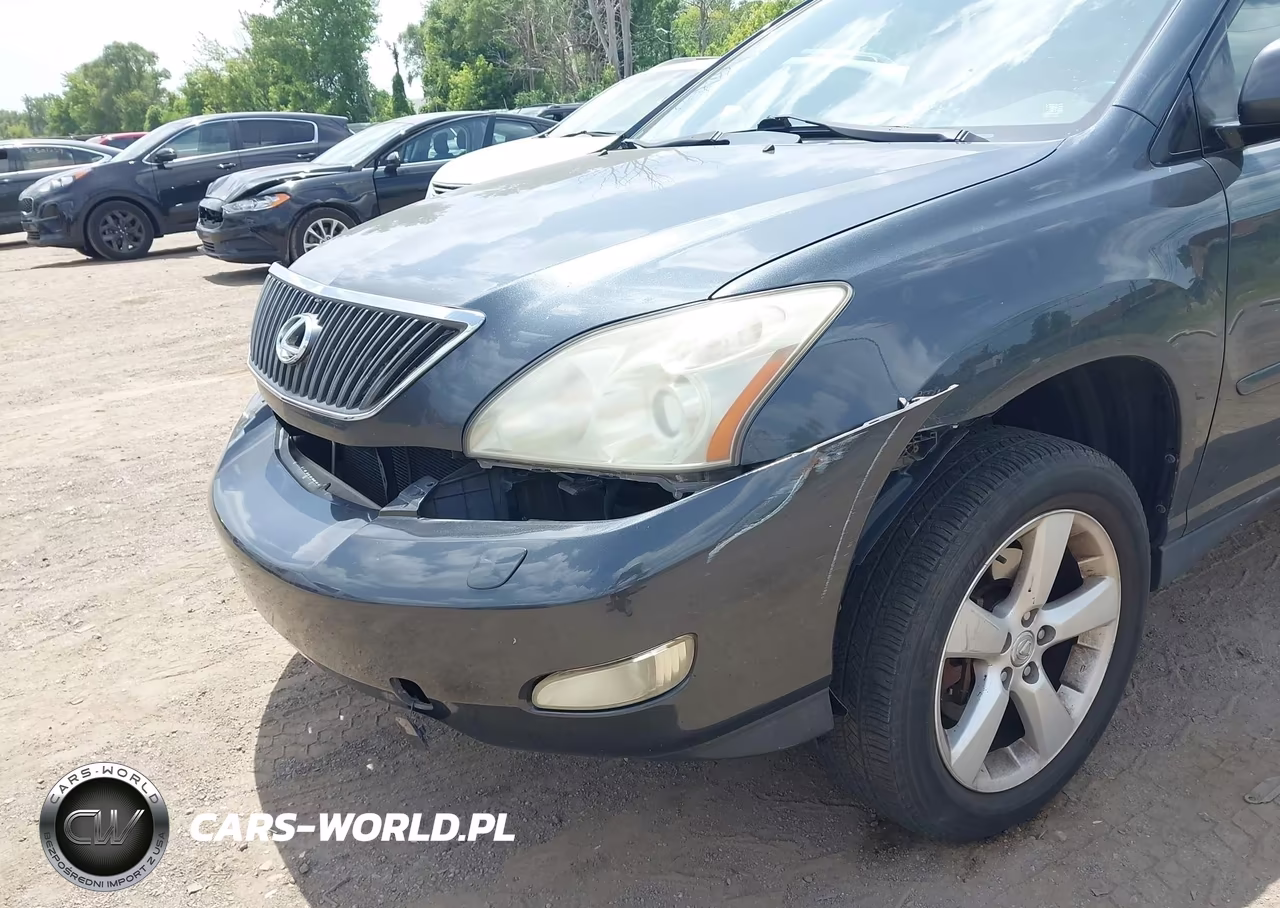 2004 Lexus Rx 330 VIN:JTJHA31U440061390 - 6