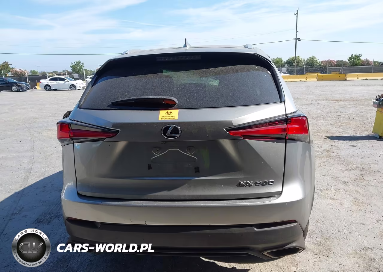 2019 Lexus Nx 300 VIN:JTJYARBZ3K2140371 - 16