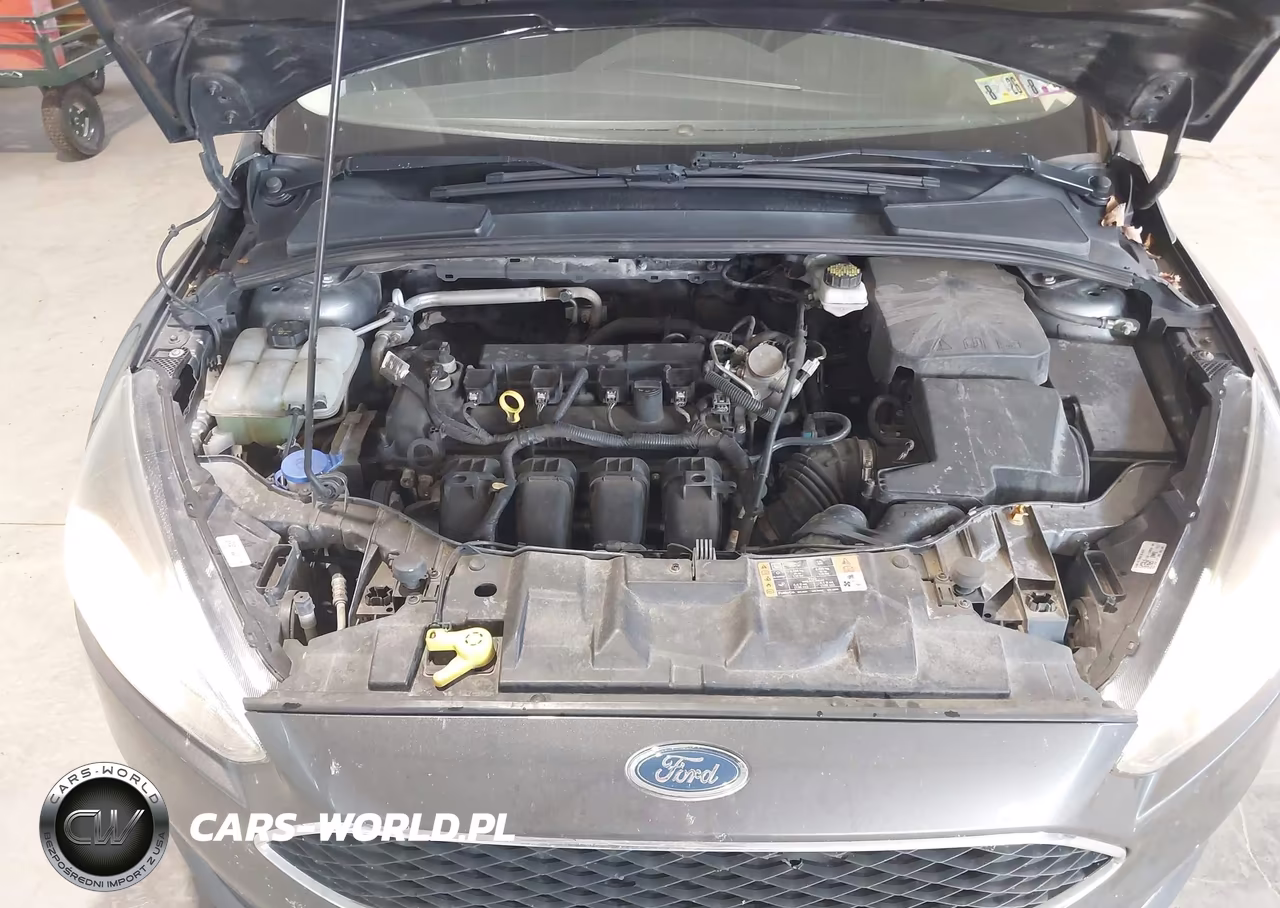 2017 Ford Focus Sel VIN:1FADP3H22HL256094 - 10