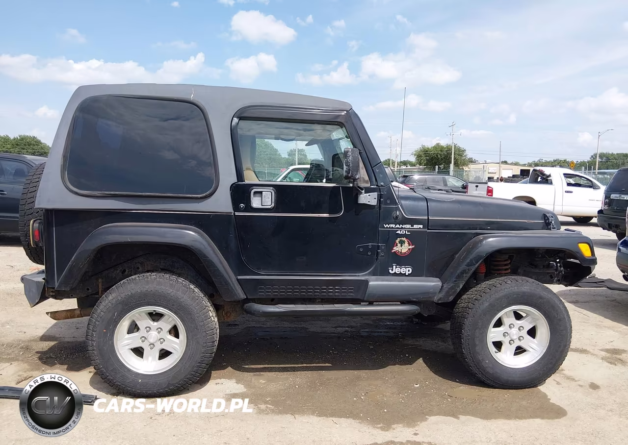 2000 Jeep Wrangler Sahara VIN:1J4FA59S8YP792615 - 13