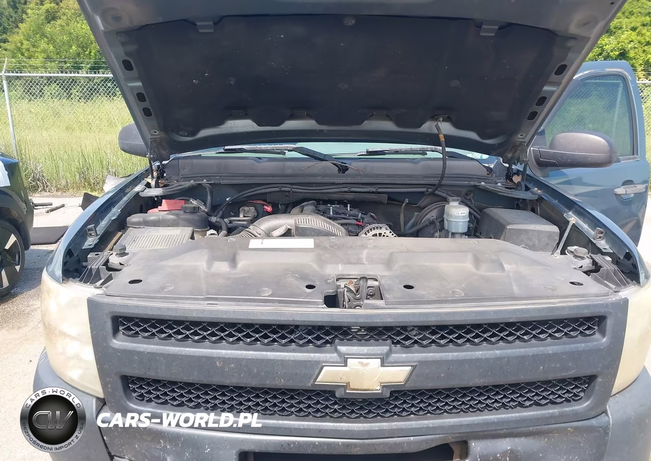 2010 Chevrolet Silverado 1500 Work Truck VIN:1GCSCPEAXAZ276905 - 10