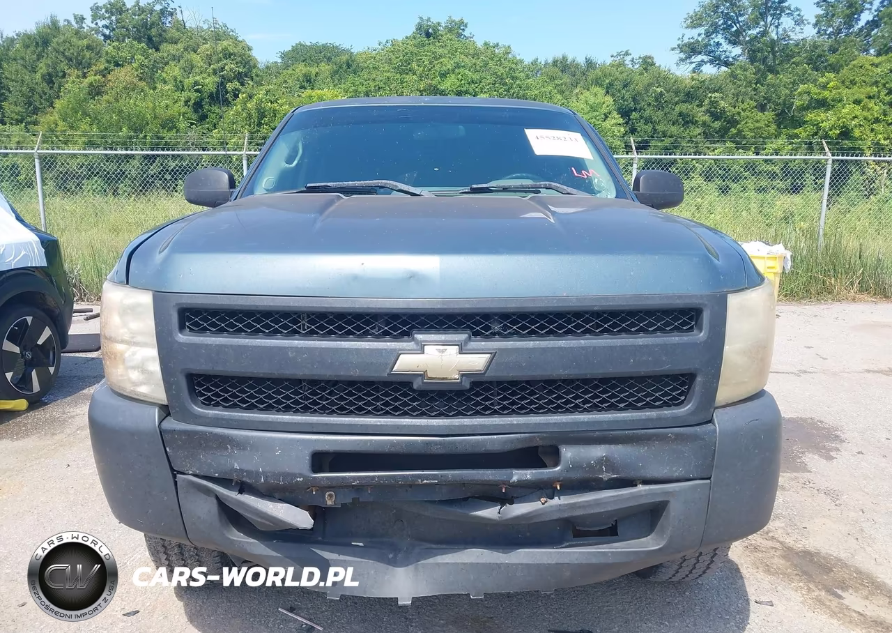2010 Chevrolet Silverado 1500 Work Truck VIN:1GCSCPEAXAZ276905 - 12