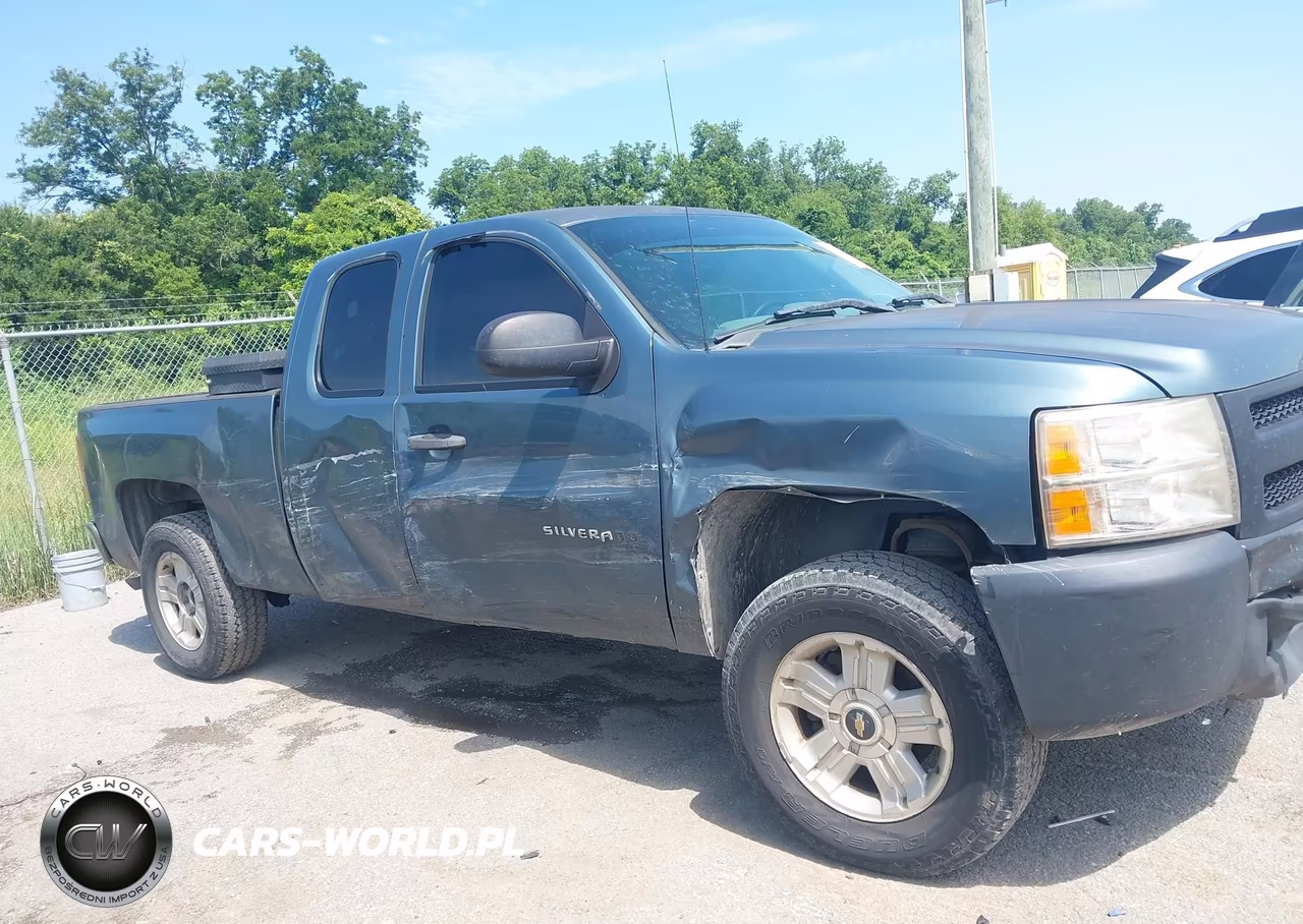 2010 Chevrolet Silverado 1500 Work Truck VIN:1GCSCPEAXAZ276905 - 13