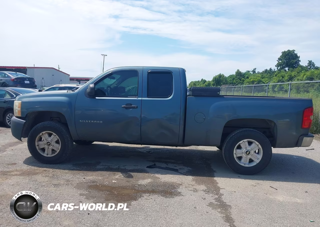 2010 Chevrolet Silverado 1500 Work Truck VIN:1GCSCPEAXAZ276905 - 14