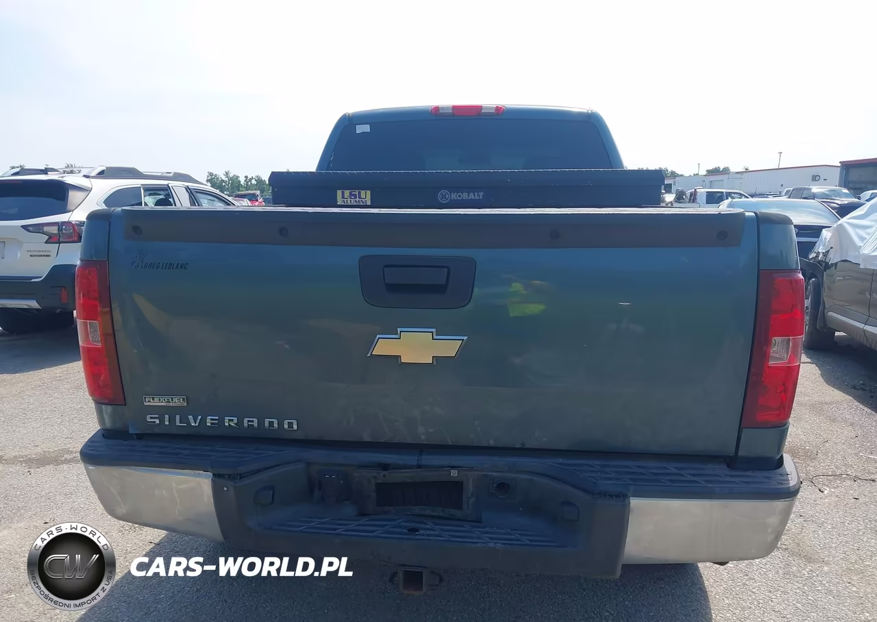 2010 Chevrolet Silverado 1500 Work Truck VIN:1GCSCPEAXAZ276905 - 16