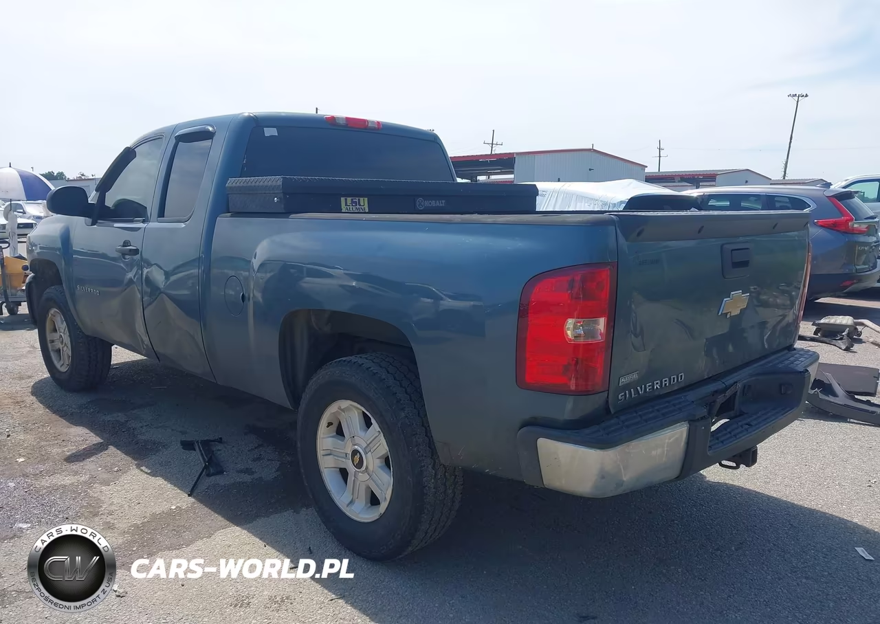 2010 Chevrolet Silverado 1500 Work Truck VIN:1GCSCPEAXAZ276905 - 3