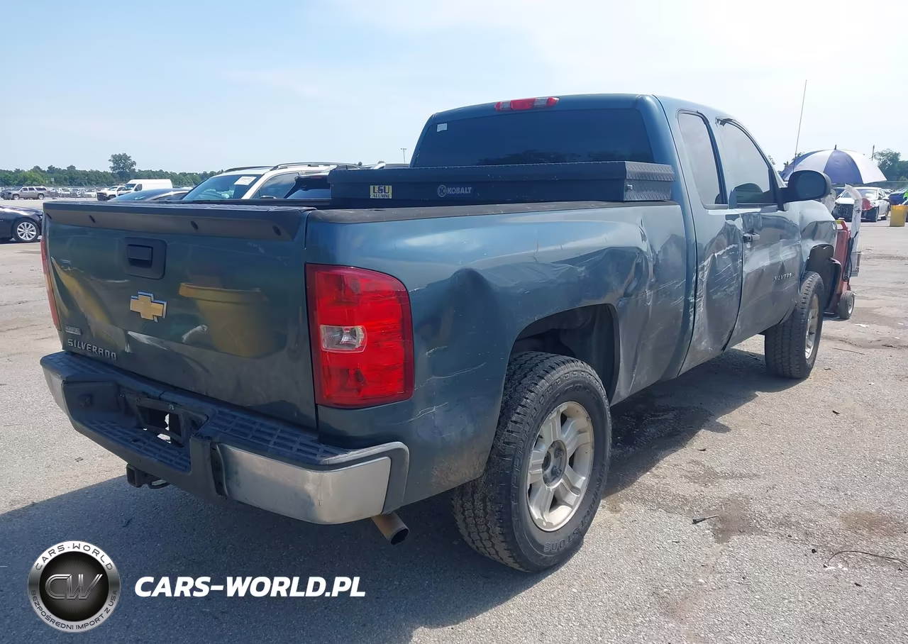 2010 Chevrolet Silverado 1500 Work Truck VIN:1GCSCPEAXAZ276905 - 4