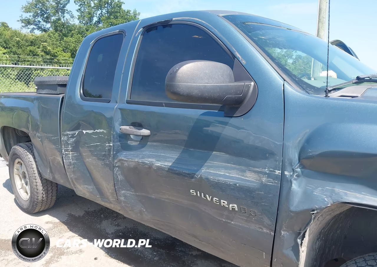 2010 Chevrolet Silverado 1500 Work Truck VIN:1GCSCPEAXAZ276905 - 6
