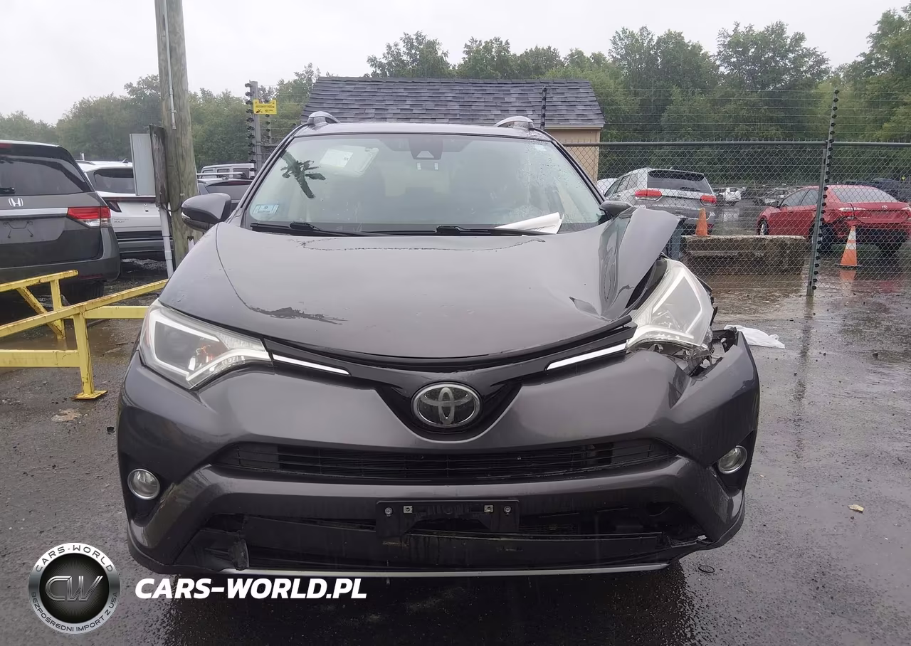 2017 Toyota Rav4 Xle VIN:JTMRFREV1HJ113475 - 11