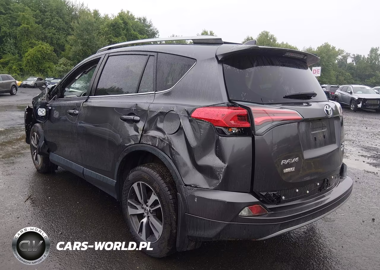 2017 Toyota Rav4 Xle VIN:JTMRFREV1HJ113475 - 3