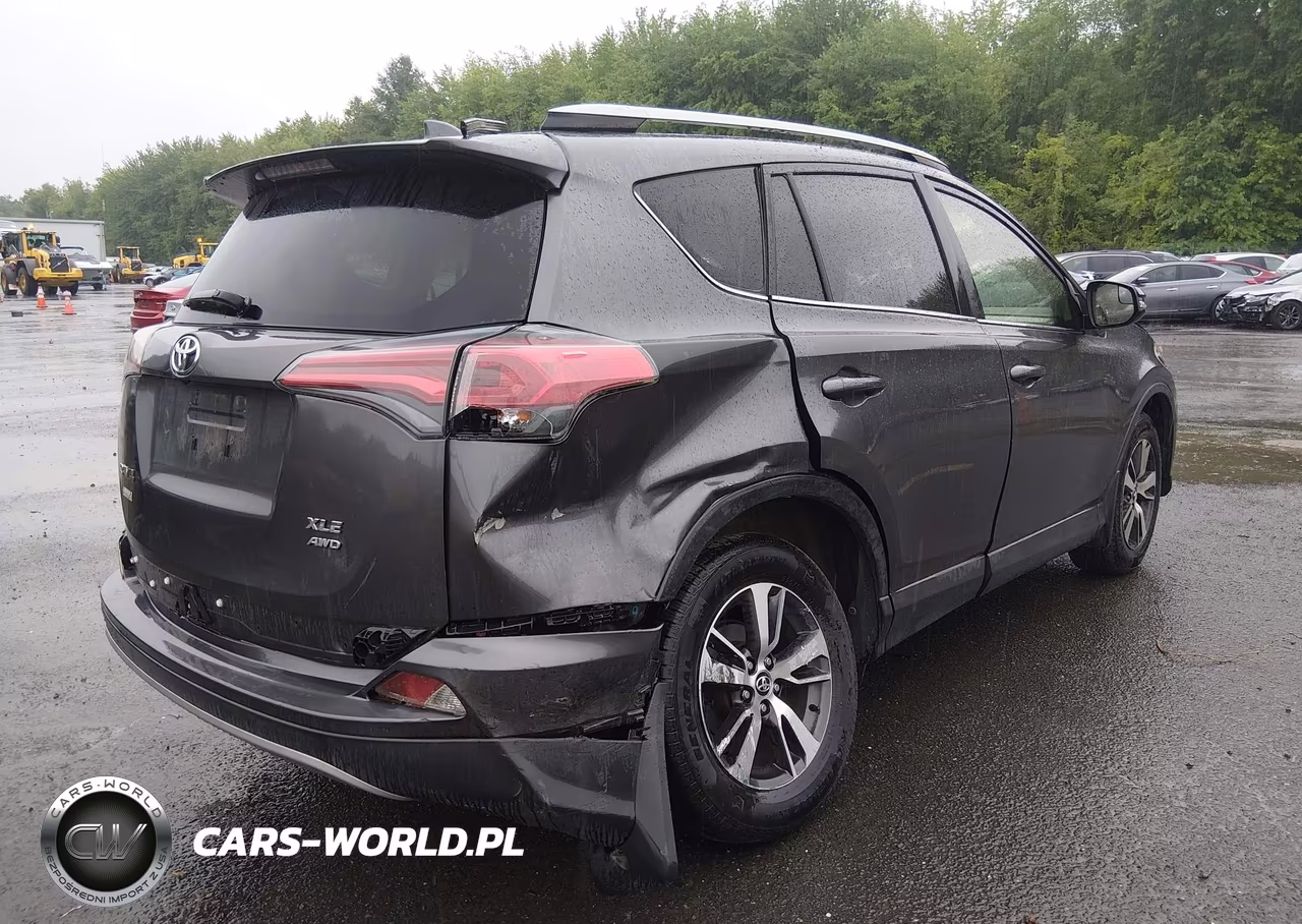 2017 Toyota Rav4 Xle VIN:JTMRFREV1HJ113475 - 4