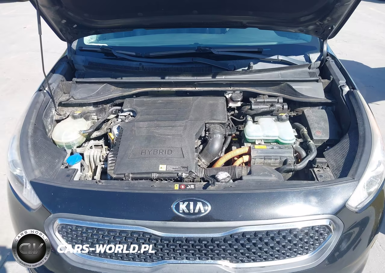 2018 Kia Niro Ex VIN:KNDCC3LC7J5140966 - 10