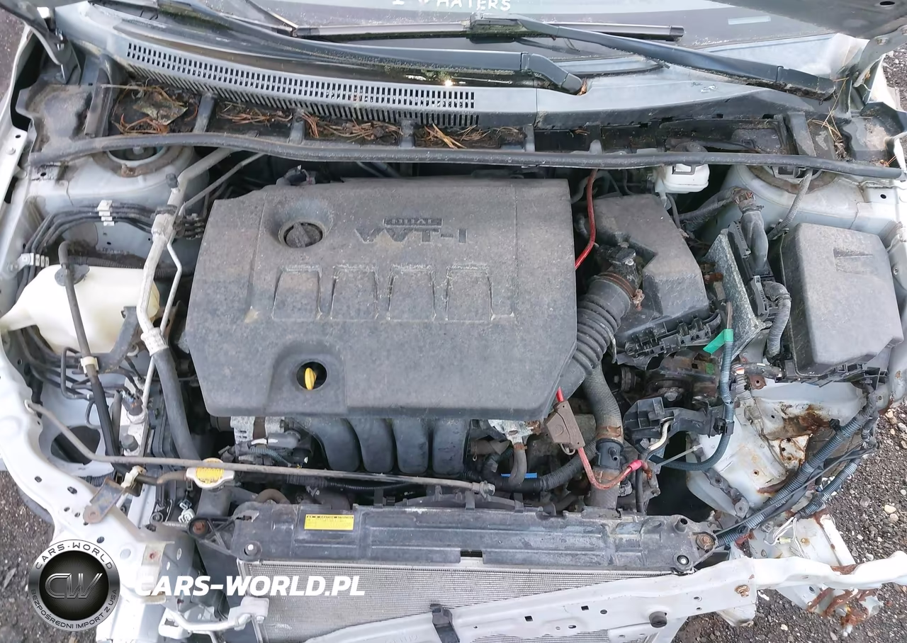 2013 Toyota Corolla Le VIN:2T1BU4EE6DC919781 - 10