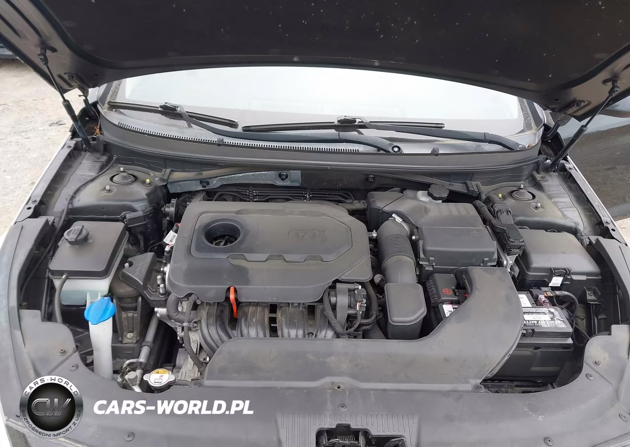 2015 Hyundai Sonata Se VIN:5NPE24AF6FH175133 - 10