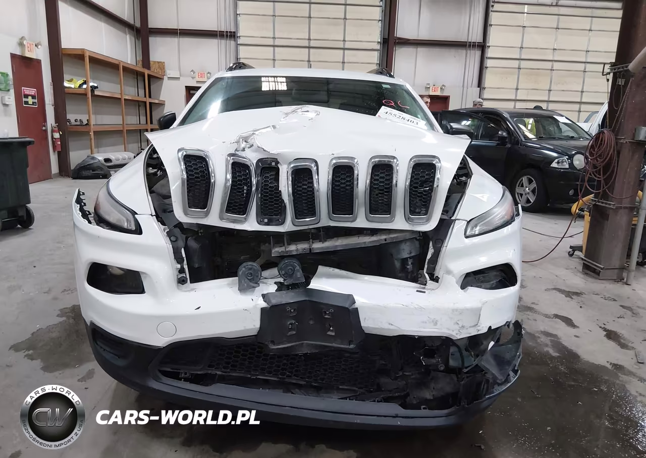 2016 Jeep Cherokee Sport VIN:1C4PJLABXGW189969 - 12