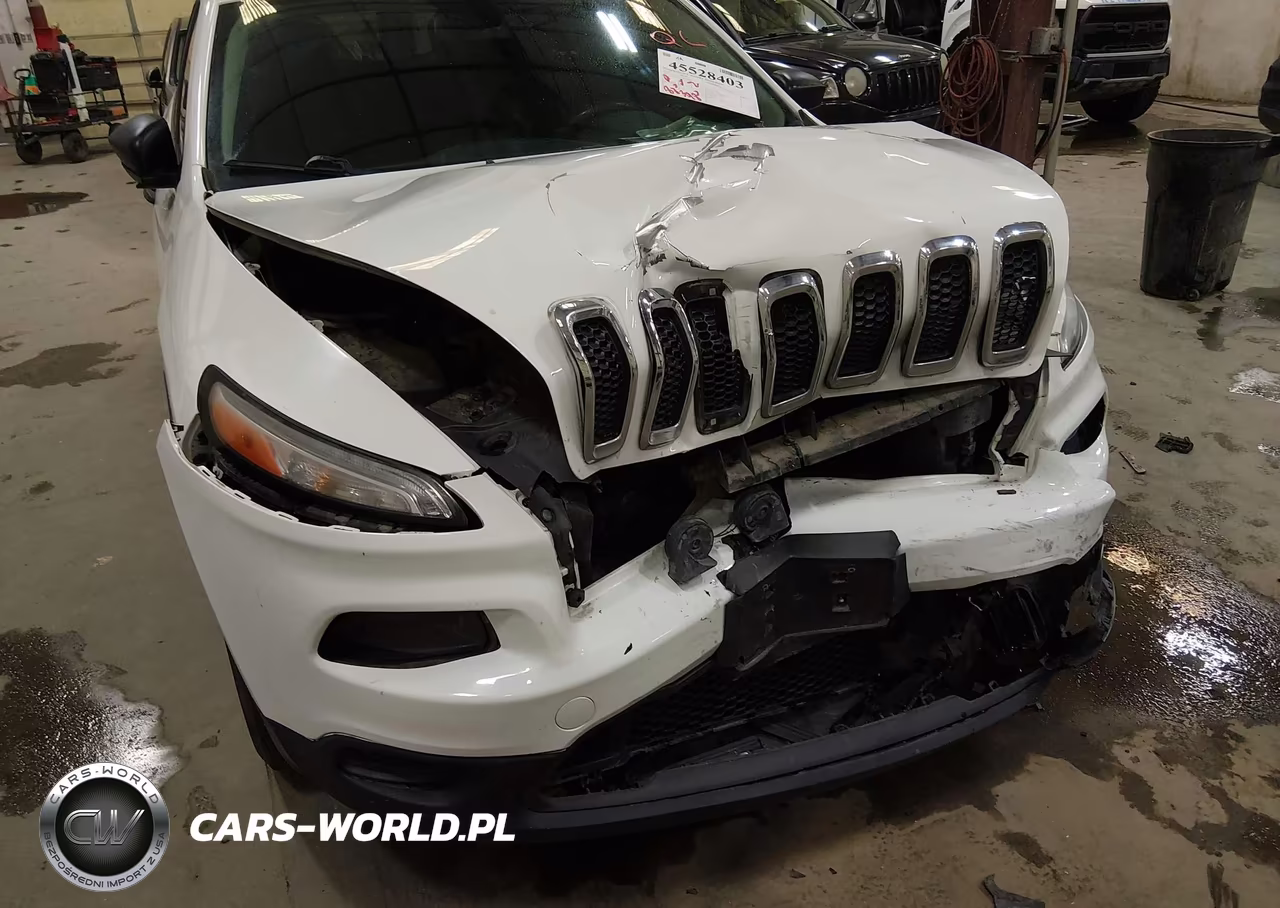2016 Jeep Cherokee Sport VIN:1C4PJLABXGW189969 - 6