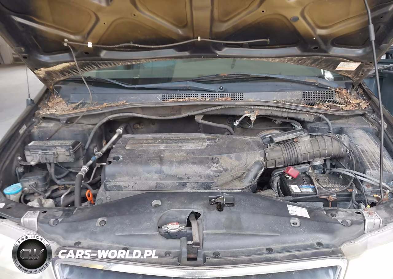 2004 Honda Odyssey Ex-L VIN:5FNRL18904B004998 - 10