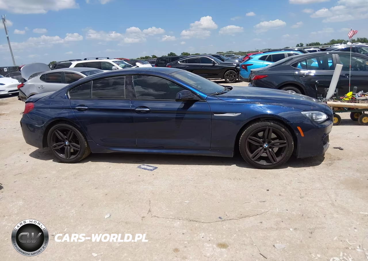 2015 BMW 650I Gran Coupe VIN:WBA6B2C56FGB99028 - 13