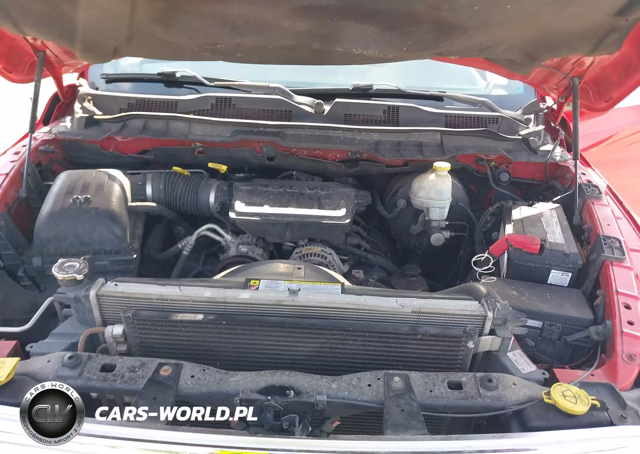 2010 Dodge Ram 1500 St VIN:1D7RB1GP8AS109425 - 10