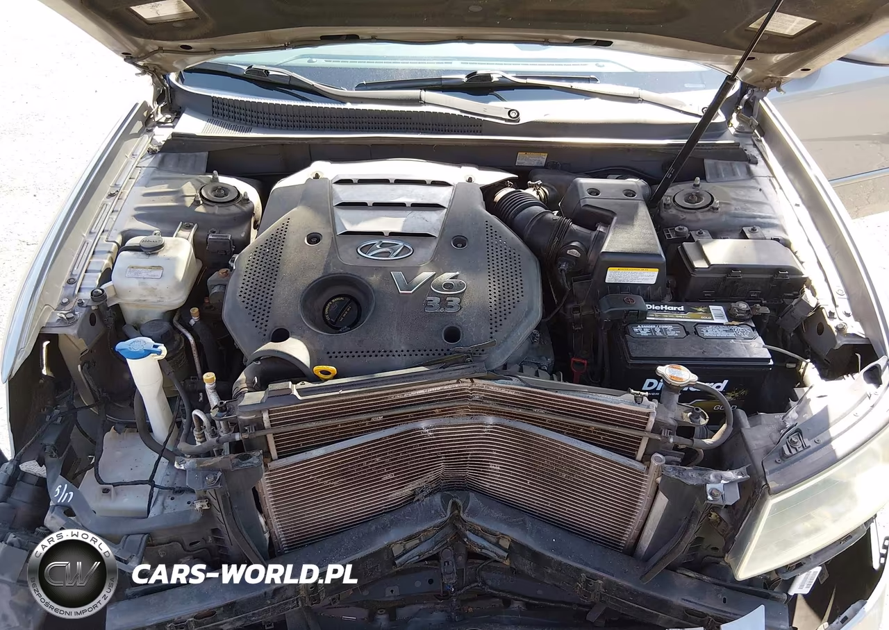 2007 Hyundai Sonata Limited-Limited W-Xm-Se-Se W-Xm VIN:5NPEU46F57H180361 - 10