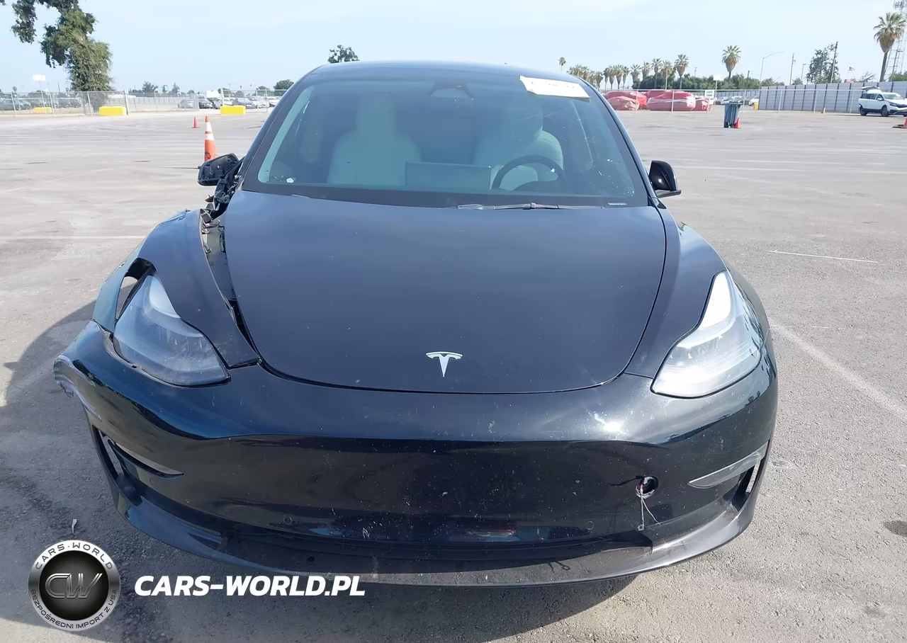 2022 Tesla Model 3 Rear-Wheel Drive VIN:5YJ3E1EA1NF360182 - 12