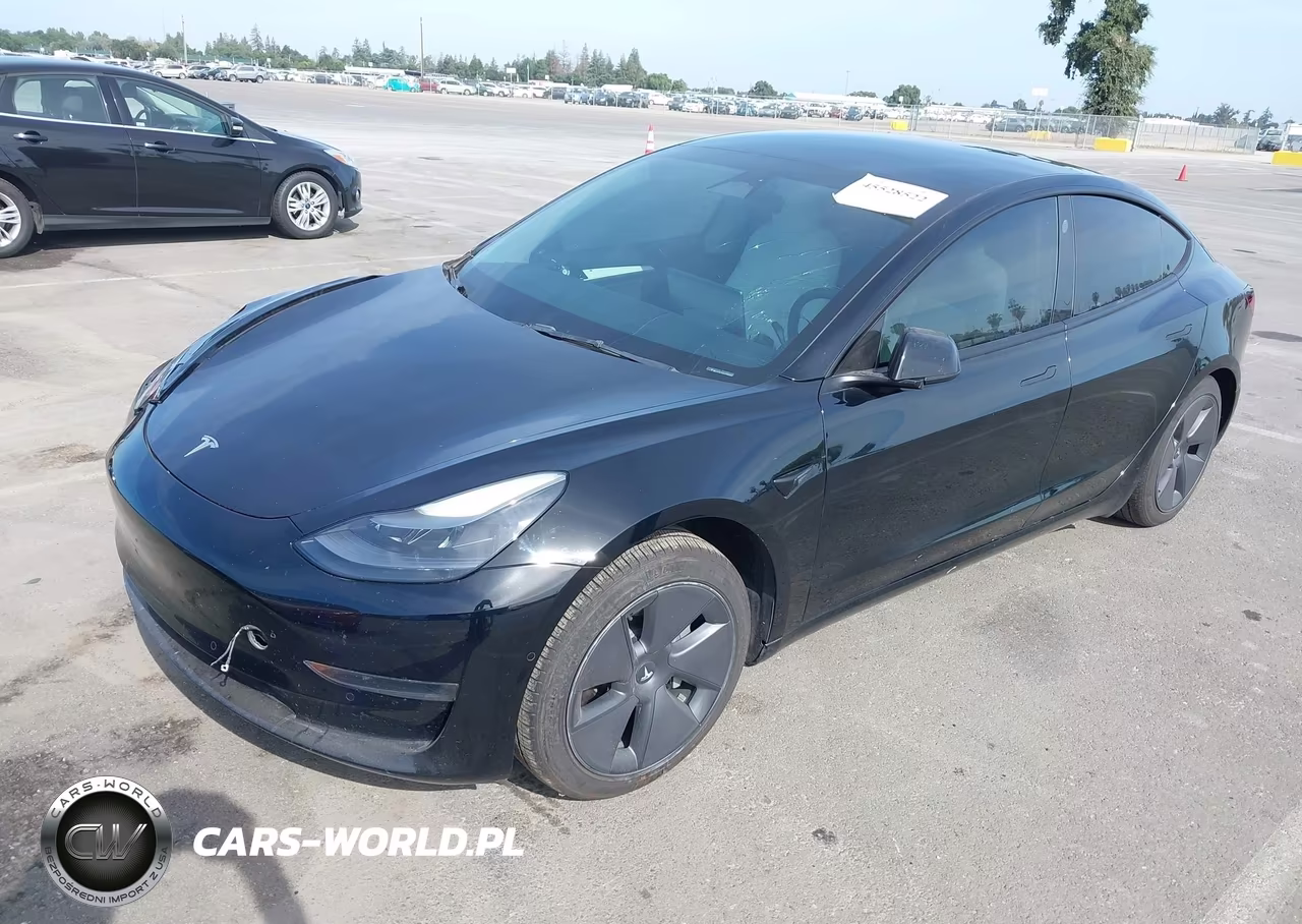 2022 Tesla Model 3 Rear-Wheel Drive VIN:5YJ3E1EA1NF360182 - 2