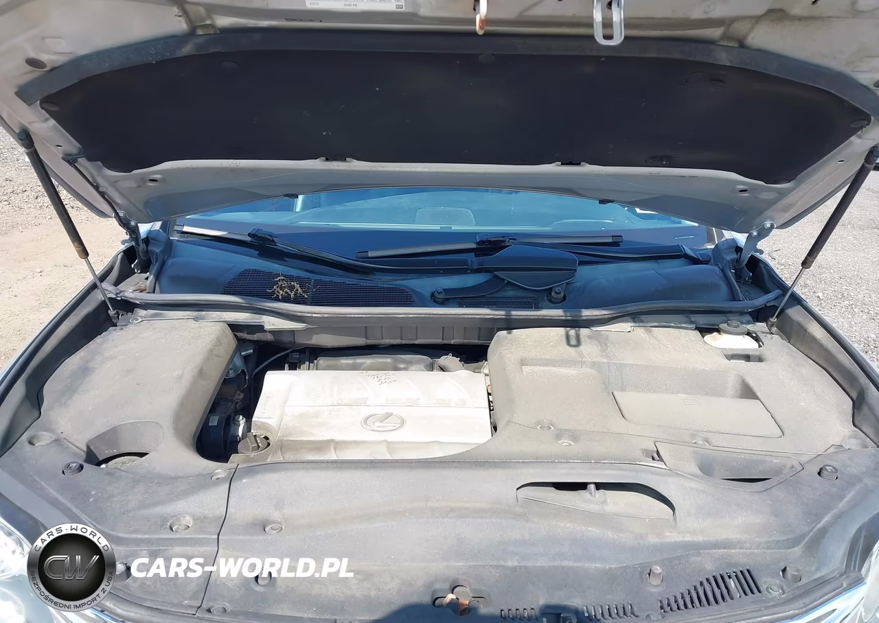 2013 Lexus Rx 350 VIN:2T2BK1BA2DC199896 - 10