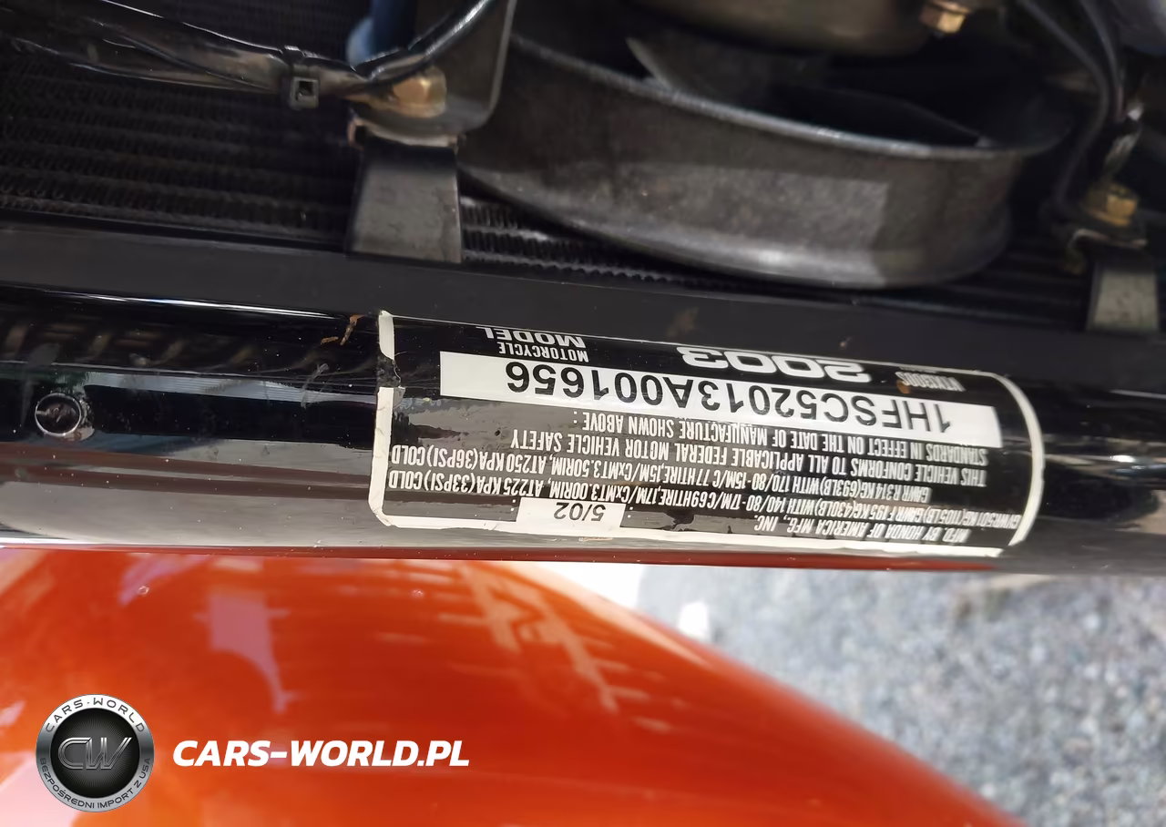 2003 Honda Vt1300 S VIN:1HFSC52013A001656 - 10