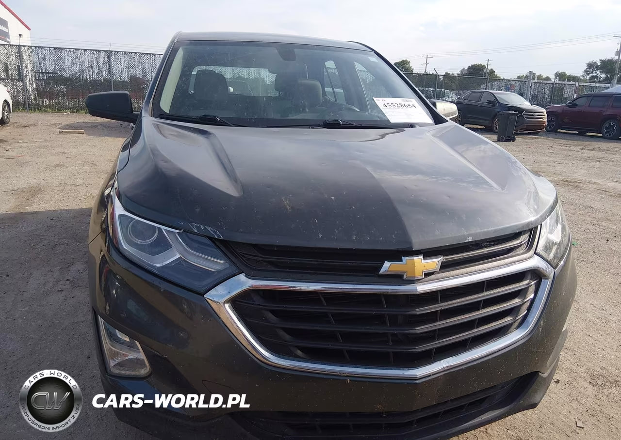 2019 Chevrolet Equinox Ls VIN:3GNAXHEV2KS619236 - 12
