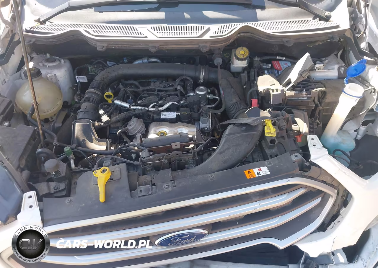 2018 Ford Ecosport Se VIN:MAJ3P1TE9JC192045 - 10