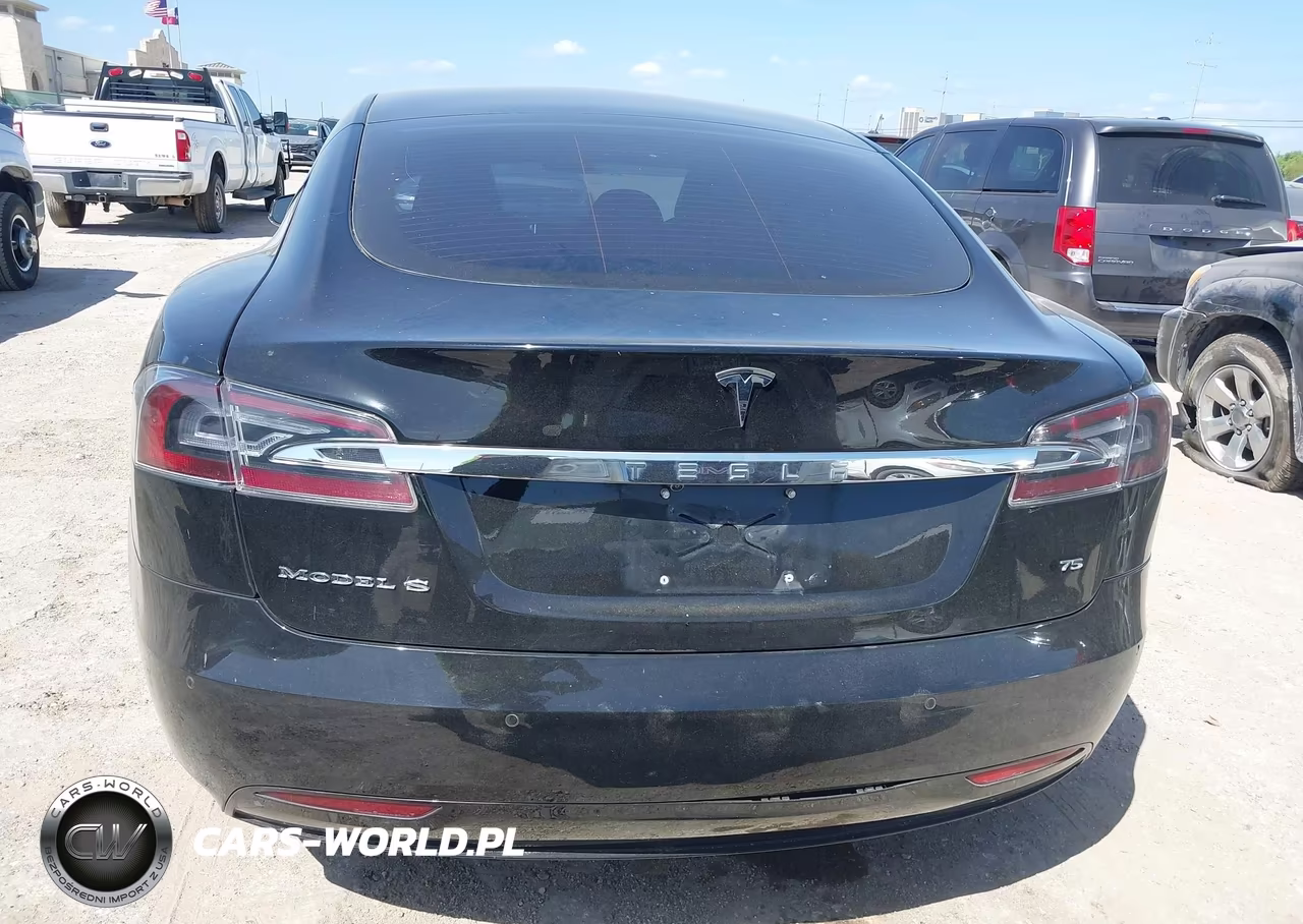 2017 Tesla Model S 60-75 VIN:5YJSA1E11HF214876 - 16