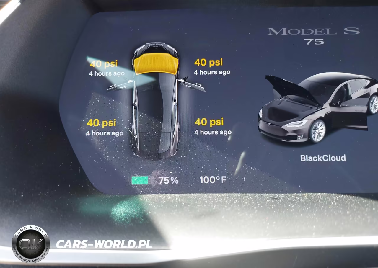 2017 Tesla Model S 60-75 VIN:5YJSA1E11HF214876 - 17