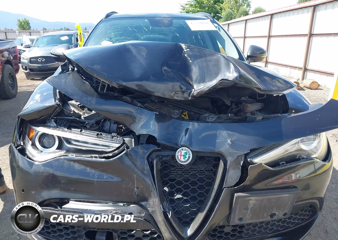 2019 Alfa Romeo Stelvio Ti Awd VIN:ZASPAKBN9K7C70233 - 6
