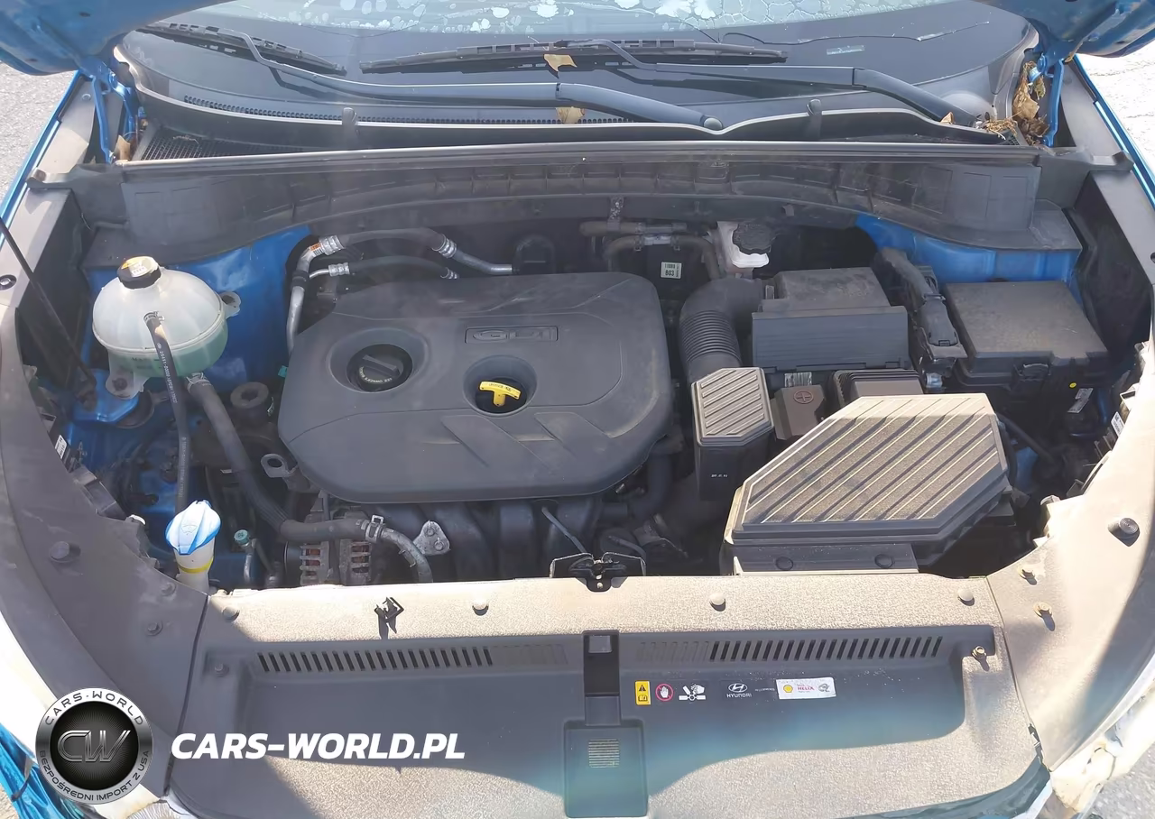 2017 Hyundai Tucson Se VIN:KM8J3CA47HU550701 - 10