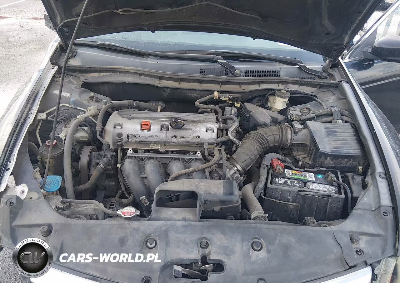 2011 Honda Accord 2.4 Se VIN:1HGCP2F65BA000946 - 10