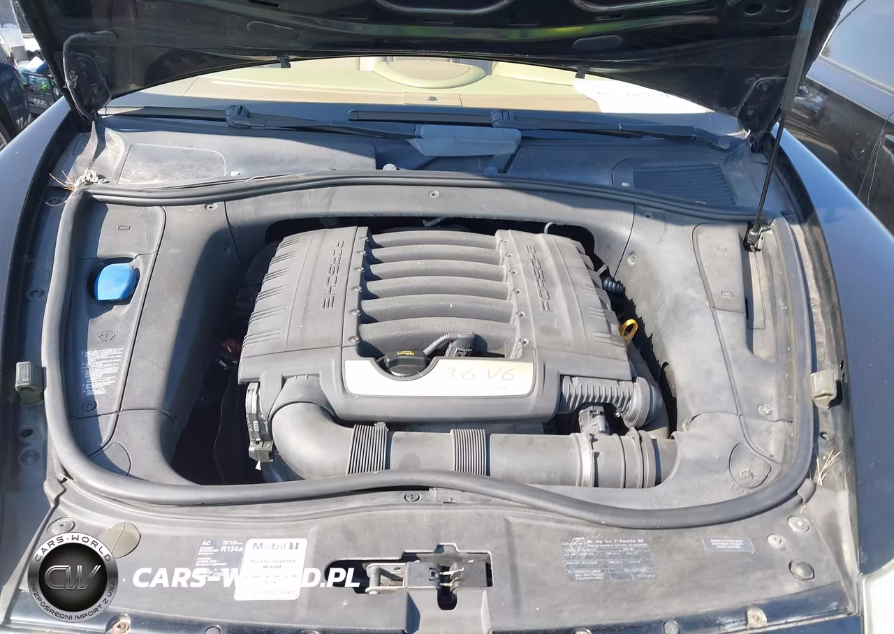 2009 Porsche Cayenne VIN:WP1AA29P99LA06452 - 10