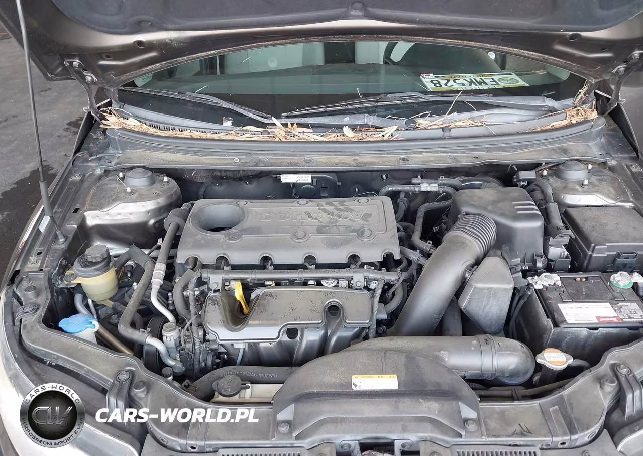 2011 Kia Forte Ex VIN:KNAFU4A28B5375661 - 10