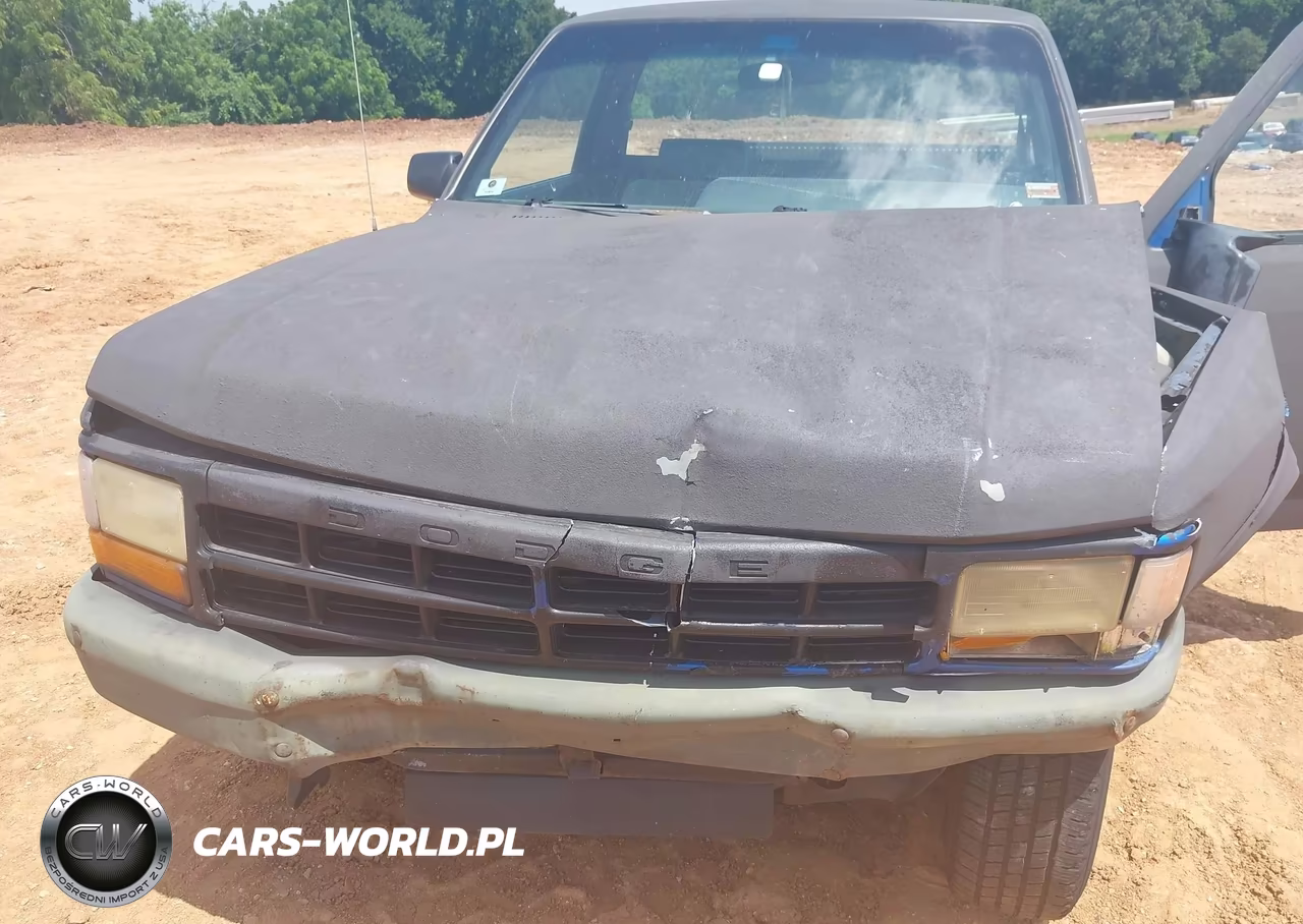 1993 Dodge Dakota VIN:1B7FL26X0PS290210 - 10