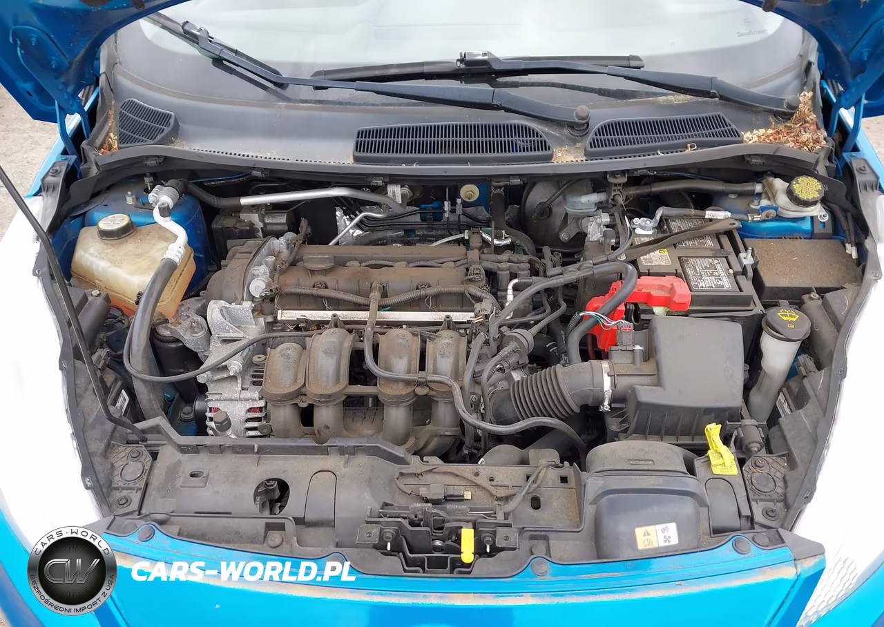 2013 Ford Fiesta Se VIN:3FADP4EJ9DM132544 - 10