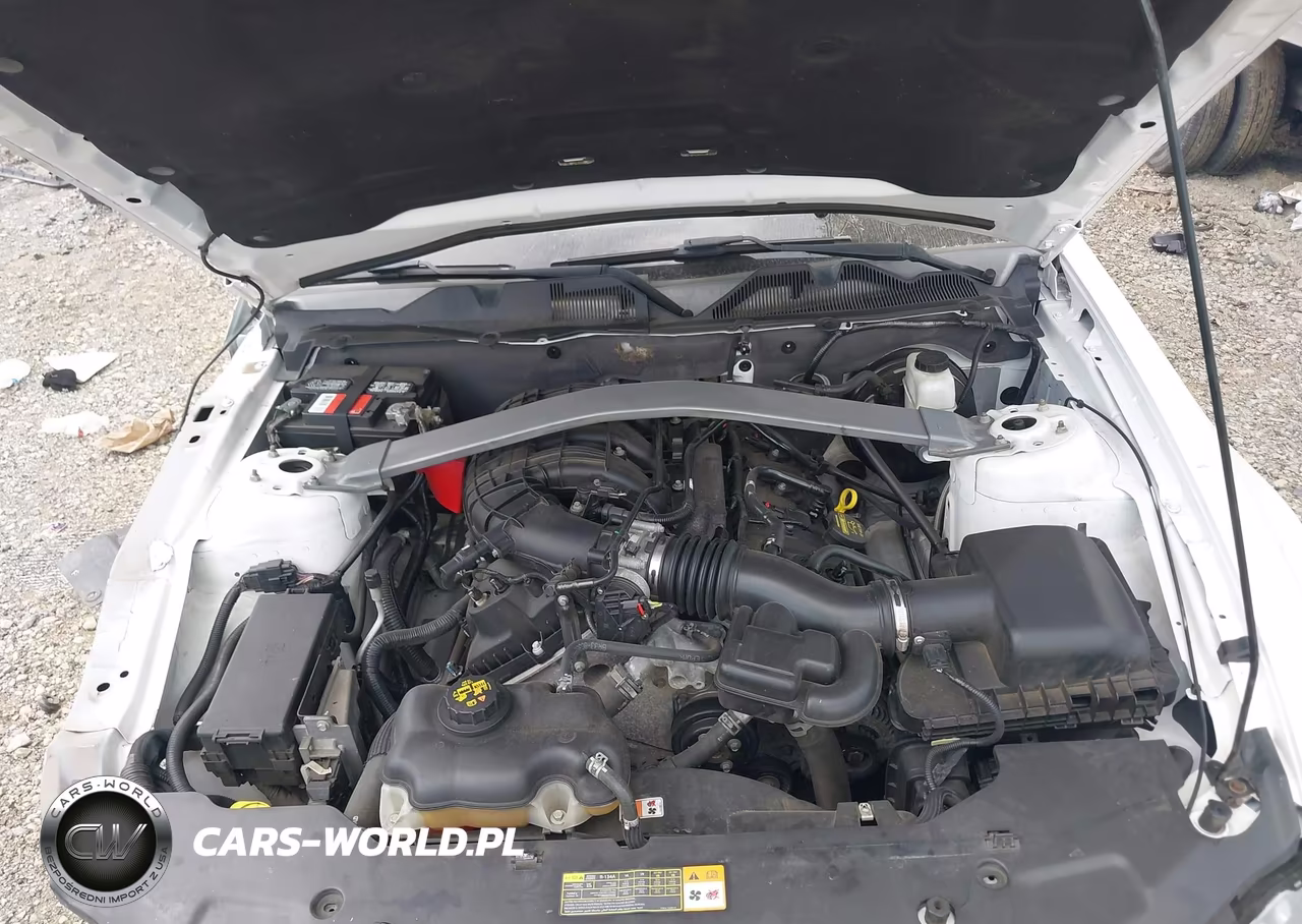 2012 Ford Mustang V6-V6 Premium VIN:1ZVBP8EMXC5287219 - 10