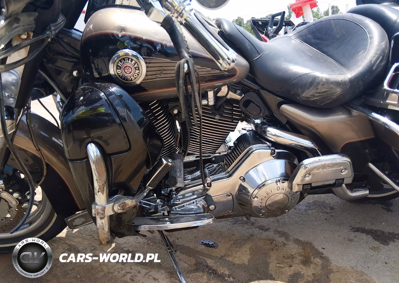2004 Harley-Davidson Flhtcui VIN:1HD1FCW124Y611318 - 9