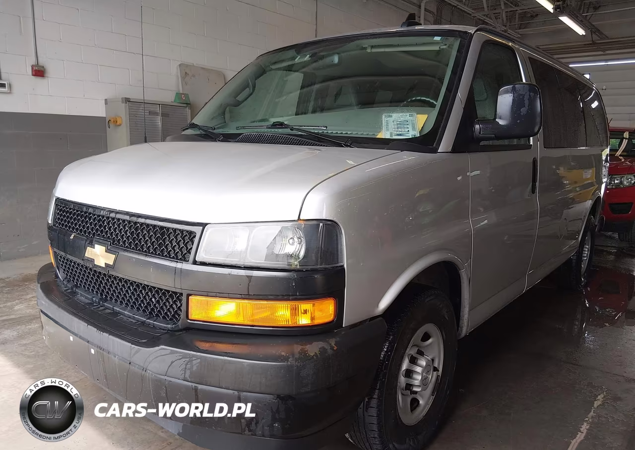 2019 Chevrolet Express 2500 Ls VIN:1GAWGEFG4K1341317 - 2