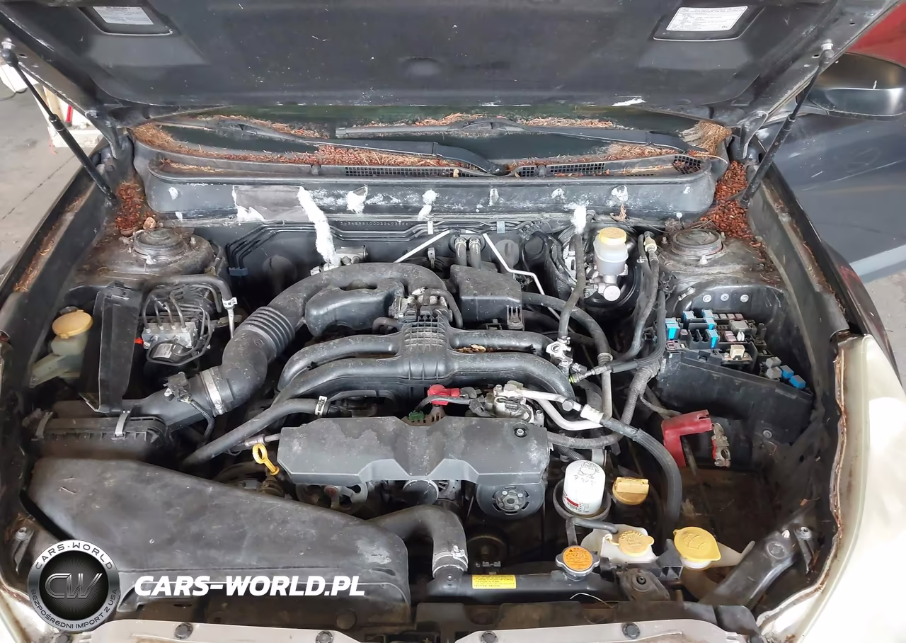 2013 Subaru Outback 2.5I VIN:4S4BRBAC0D3247389 - 10