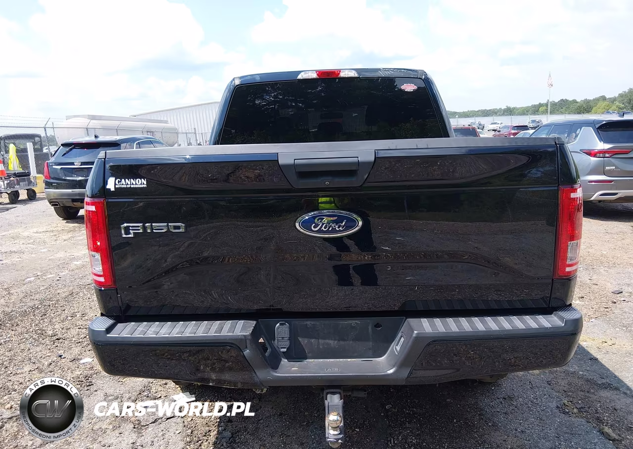 2017 Ford F-150 King Ranch-Lariat-Platinum-Xl-Xlt VIN:1FTEW1EF7HKC94567 - 16