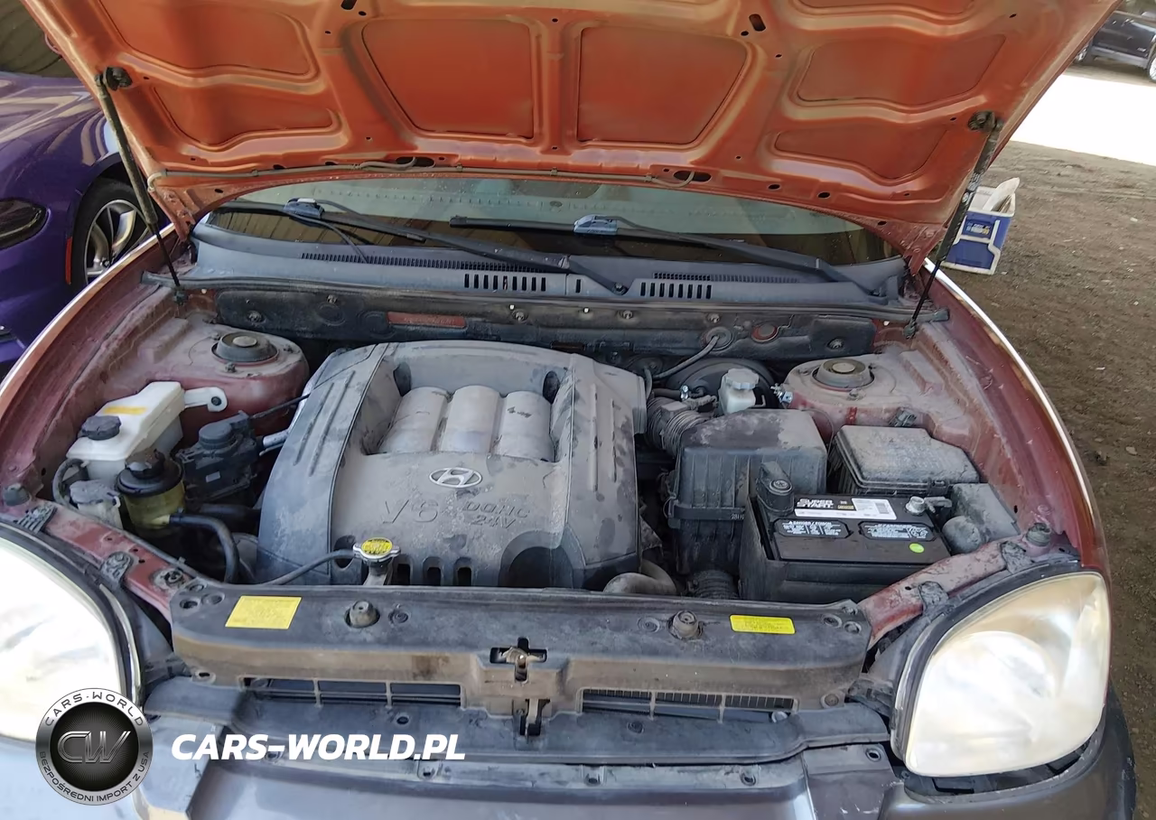 2005 Hyundai Santa Fe Gls VIN:KM8SC13D55U932047 - 10