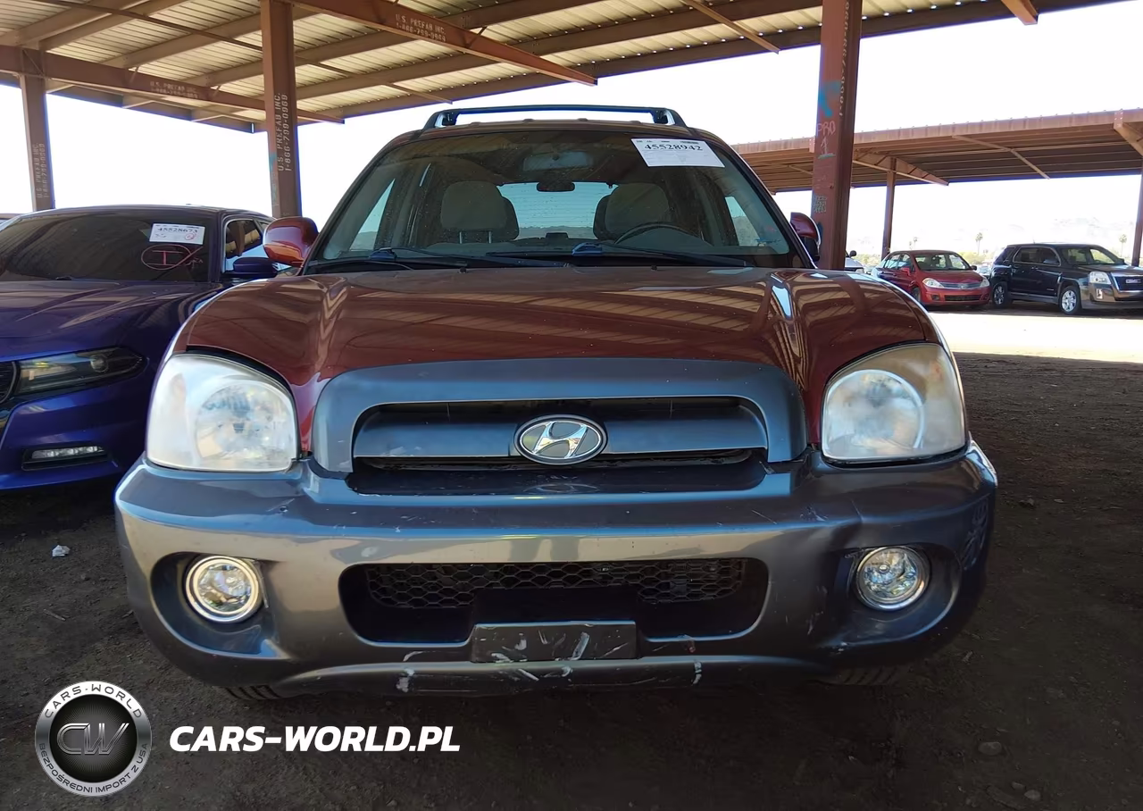 2005 Hyundai Santa Fe Gls VIN:KM8SC13D55U932047 - 12