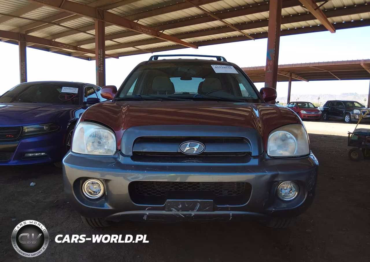2005 Hyundai Santa Fe Gls VIN:KM8SC13D55U932047 - 6